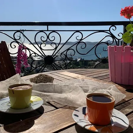 Apartment Luxury Apartment In A Secure Complex - Gorgeous Sea View - Pool - 700M To The Beach - Wifi - In Gulluk - 8Km From Bodrum Airport - Ideal For Naturelovers Bodrum
